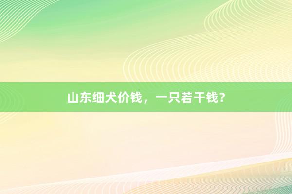 山东细犬价钱,一只若干钱?
