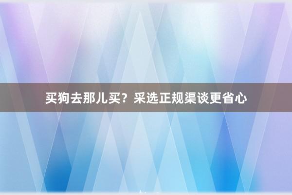 买狗去那儿买？采选正规渠谈更省心