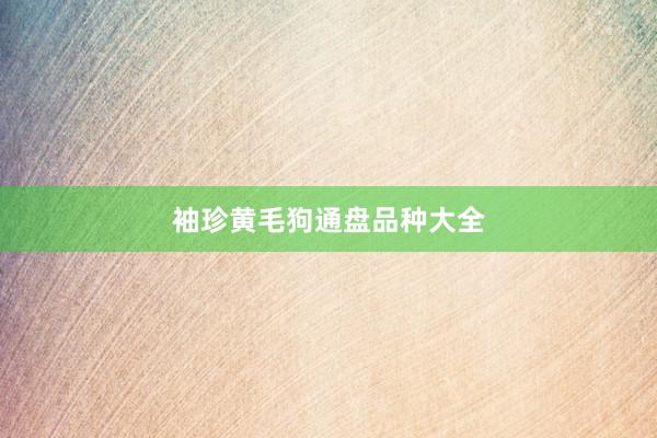 袖珍黄毛狗通盘品种大全