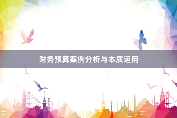 财务预算案例分析与本质运用
